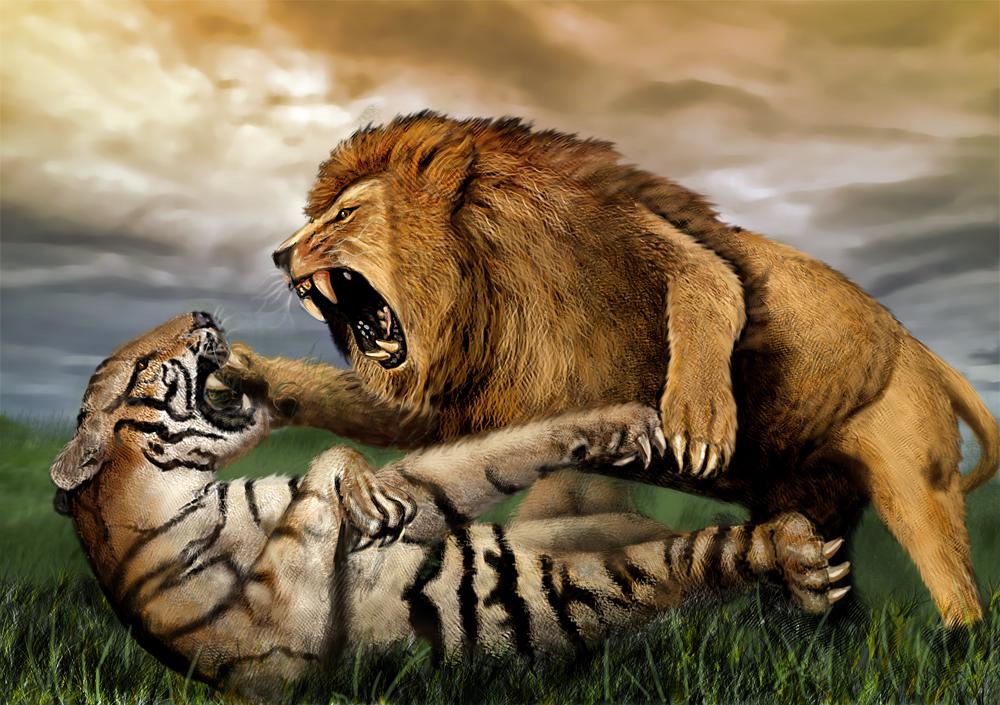 老虎vs狮子横图