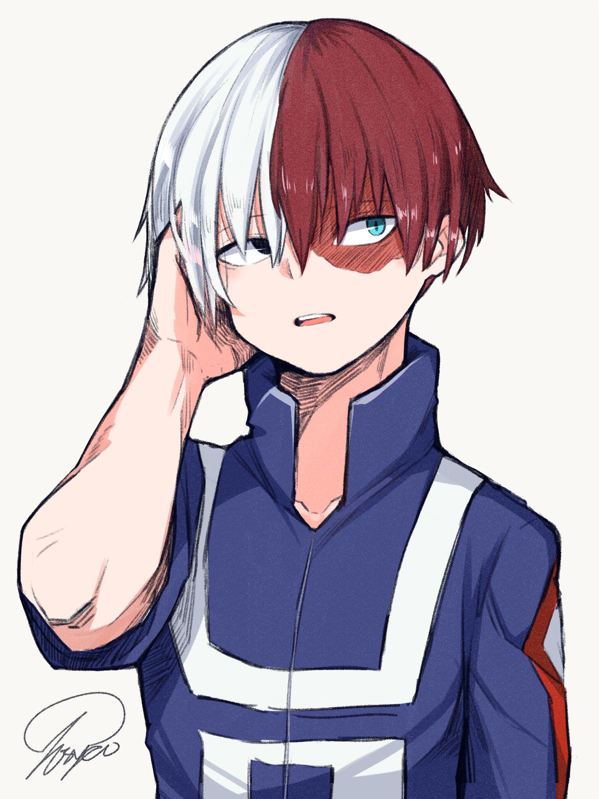 todoroki shoto 轟焦凍插画图片壁纸