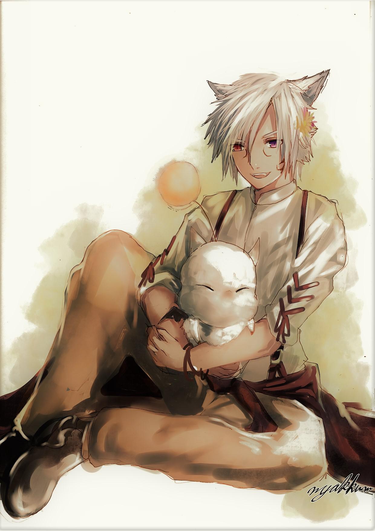 米科尔特 米科尔特