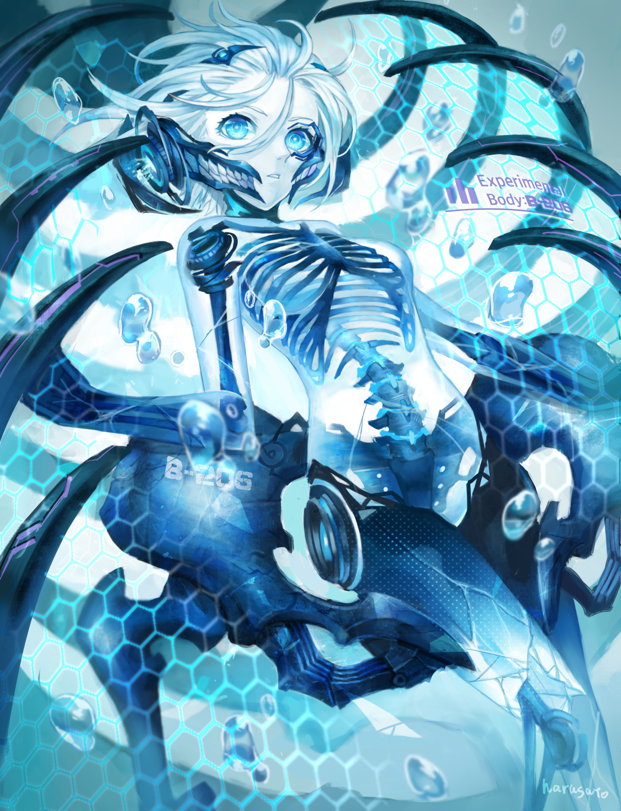 骨盔甲插画图片壁纸 骨盔甲插画图片壁纸