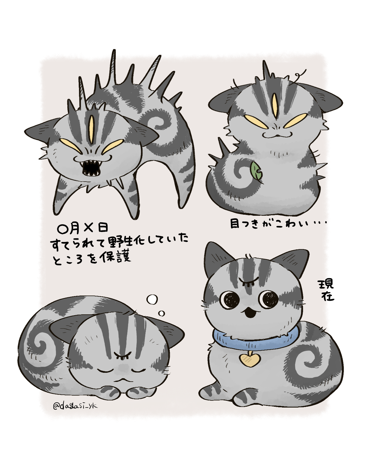 野猫BeforeAfter插画图片壁纸 野猫BeforeAfter插画图片壁纸