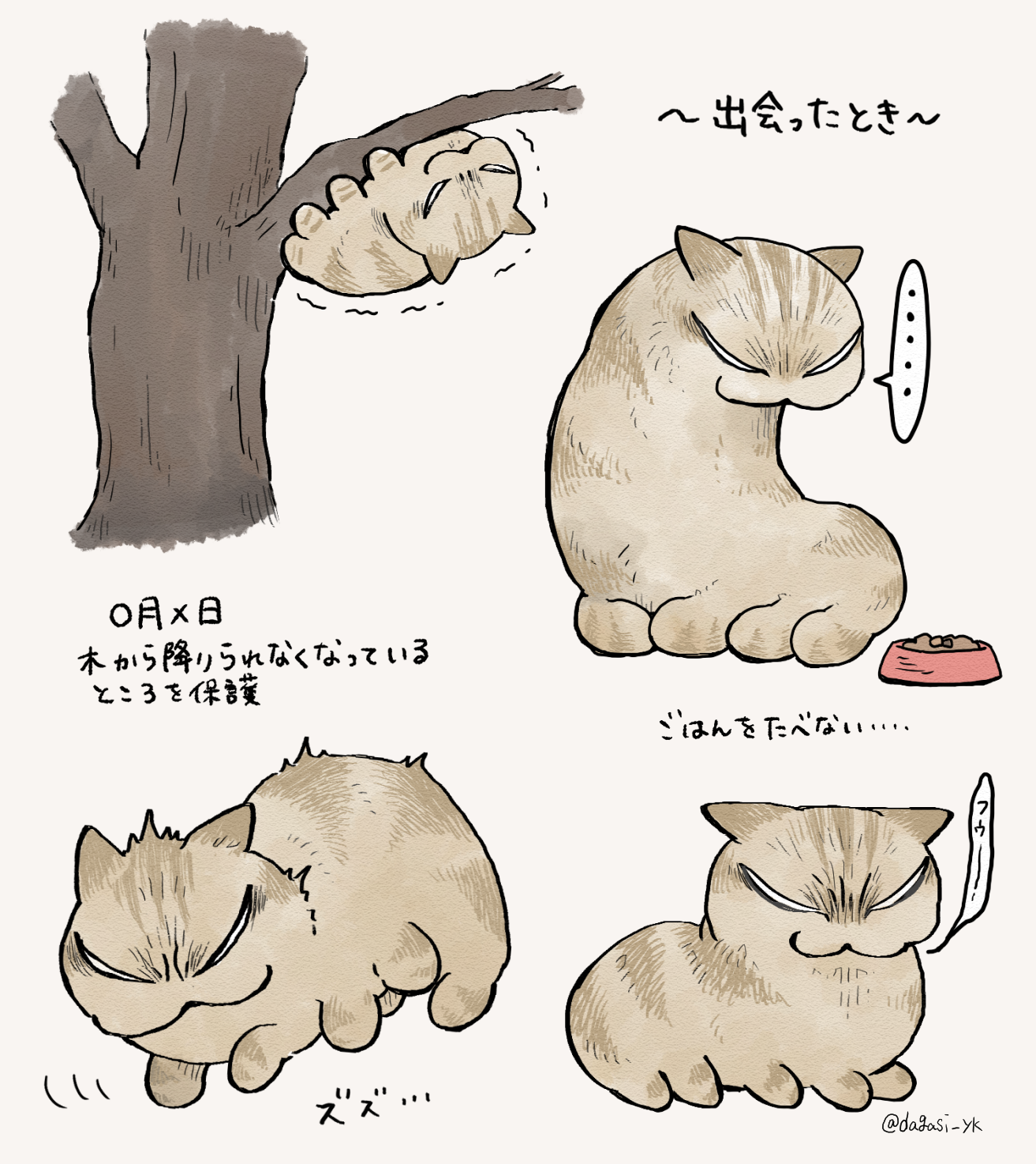 野猫BeforeAfter插画图片壁纸 野猫BeforeAfter插画图片壁纸