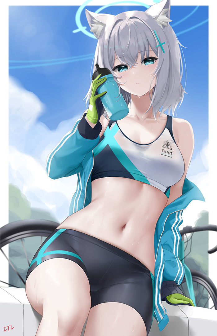 沙狼插画图片壁纸 沙狼插画图片壁纸