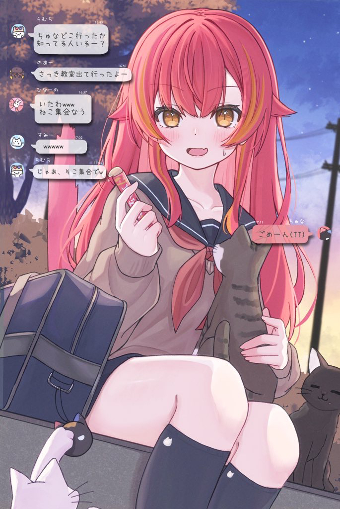 猫集会插画图片壁纸 猫集会插画图片壁纸