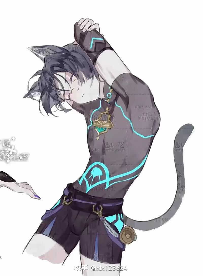 散猫插画图片壁纸 散猫插画图片壁纸