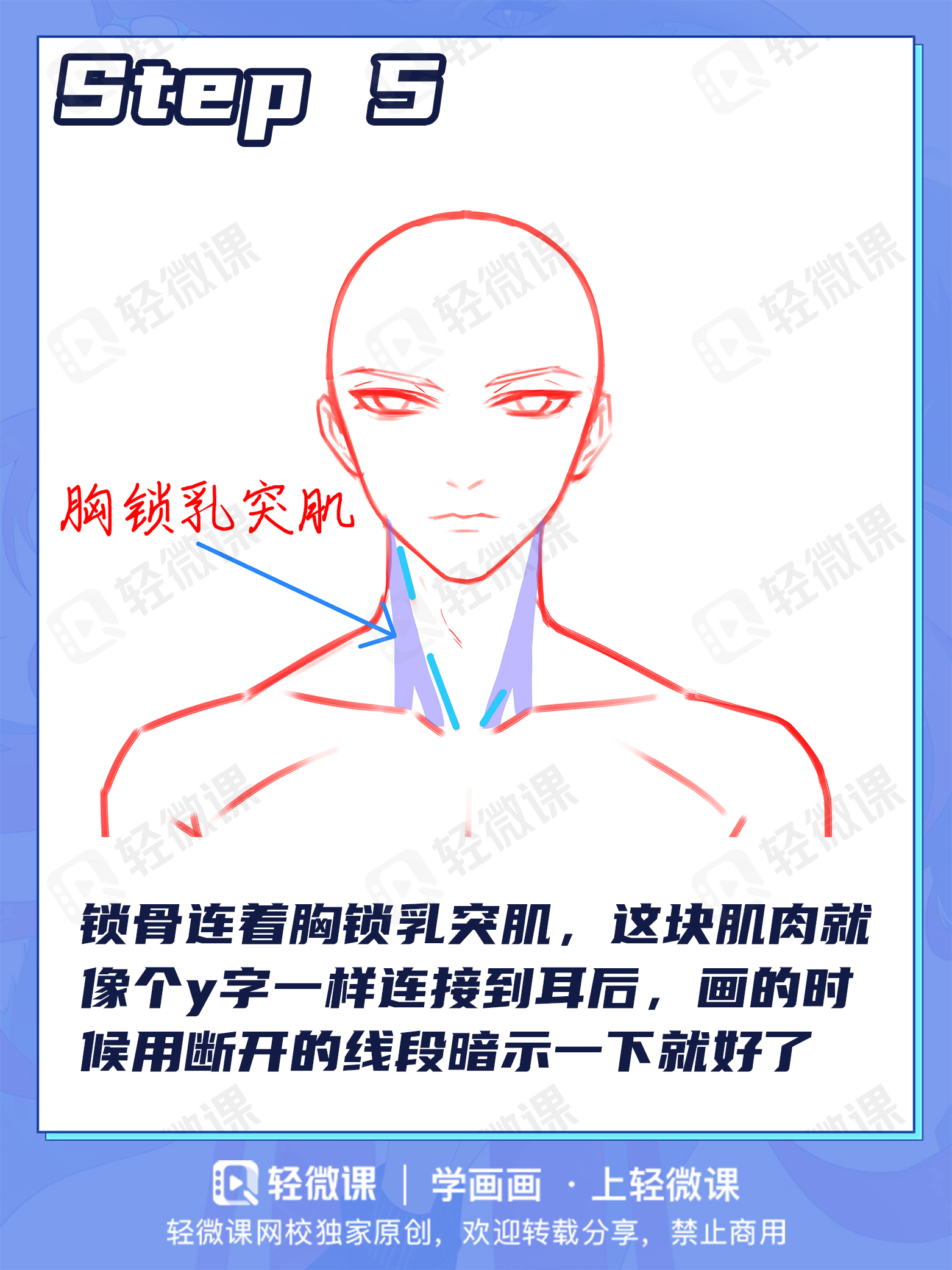 99%萌新都画错的头颈肩关系!