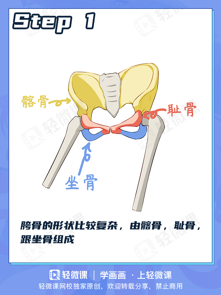 看完这个还有人不会画臀部?