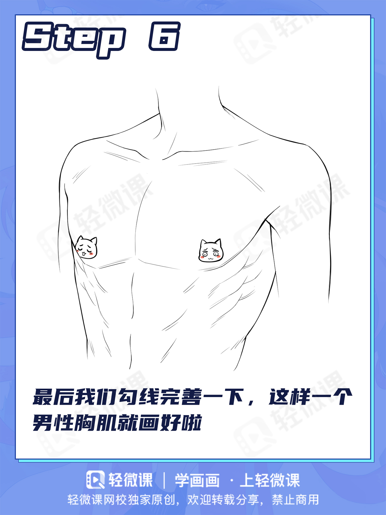 胸肌?欧派?男女胸部差异该怎么画?