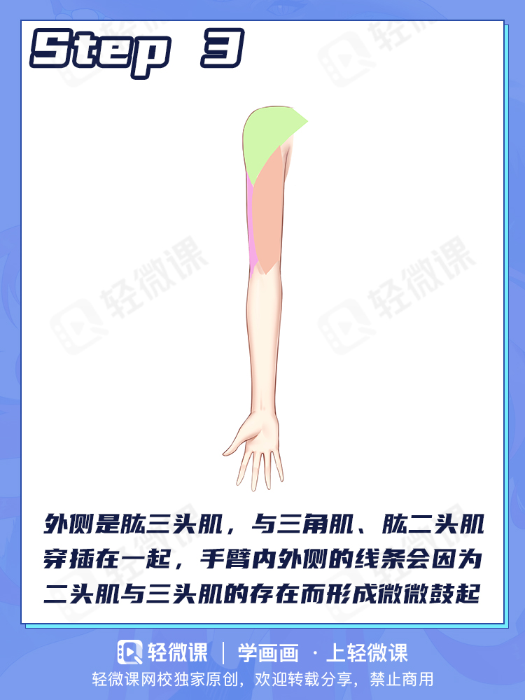 少女修长的手臂怎么画?这两个流程你们一定要记住!