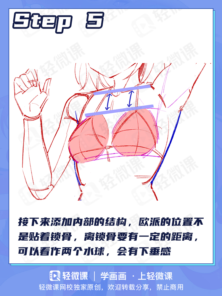 你是不是不会画人体?2分钟掌握人体躯干画法!