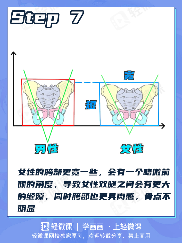 看完这个还有人不会画臀部?
