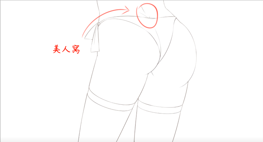pp画两个圆就完事了?萌新快上车学画臀部!