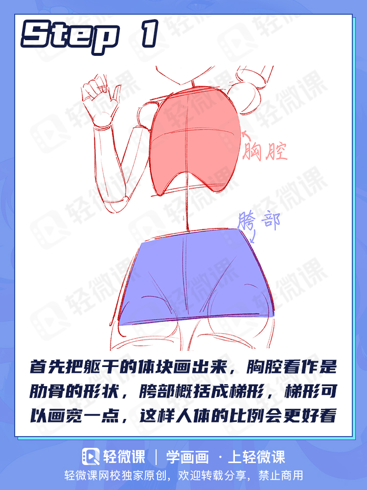 你是不是不会画人体?2分钟掌握人体躯干画法!