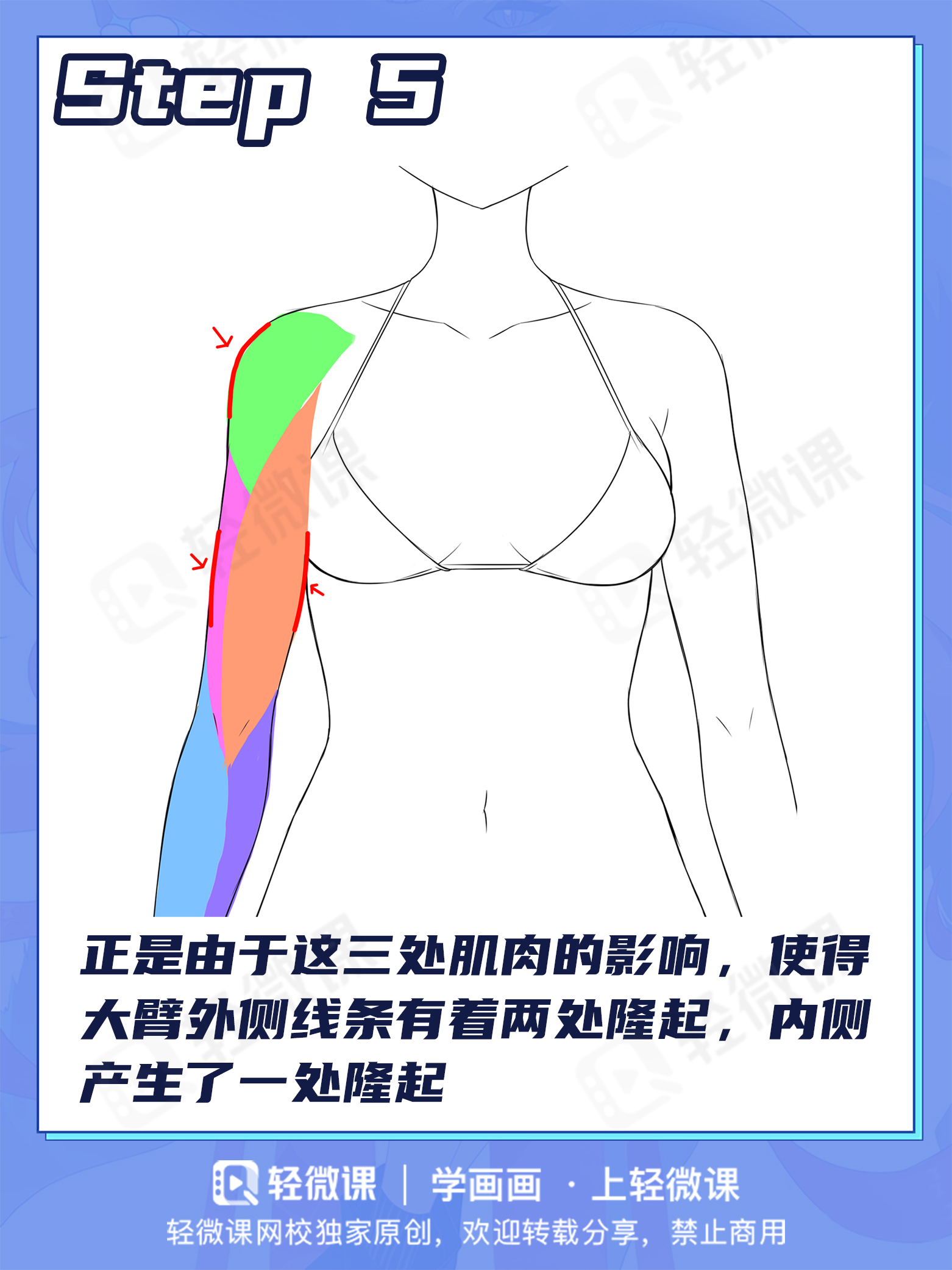 手臂画多长?结构怎么画?2分钟搞定手臂画法
