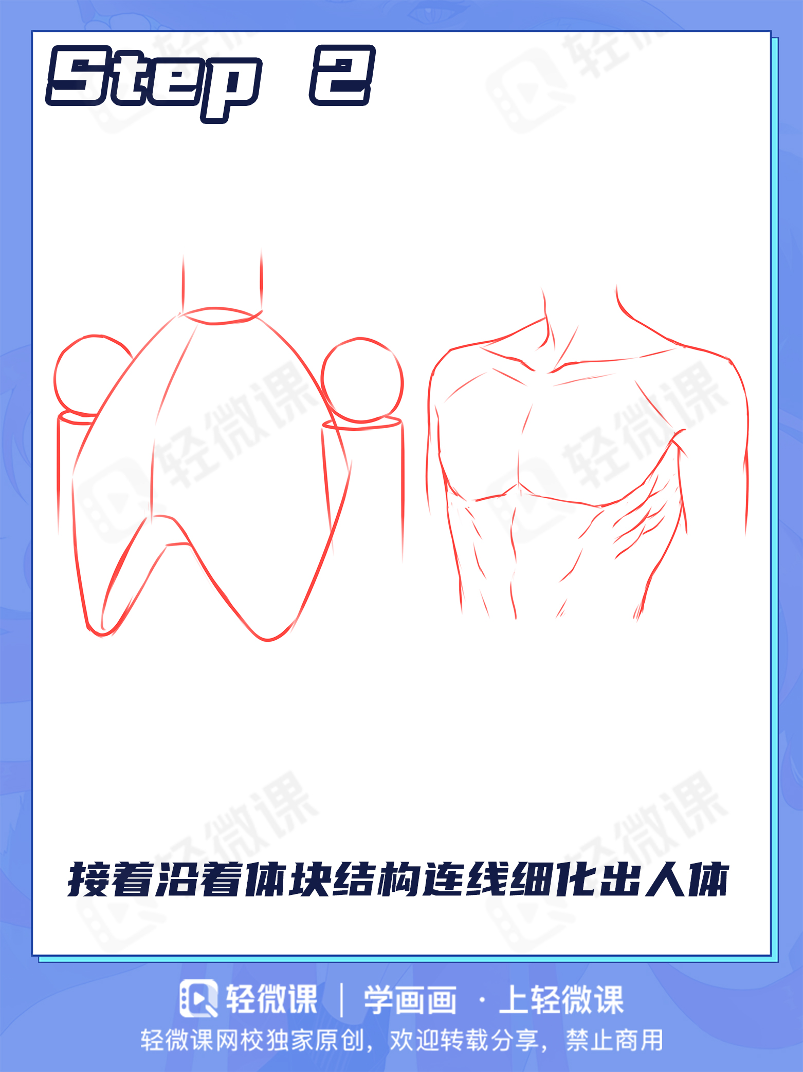 胸肌?欧派?男女胸部差异该怎么画?