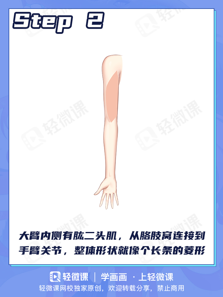 少女修长的手臂怎么画?这两个流程你们一定要记住!