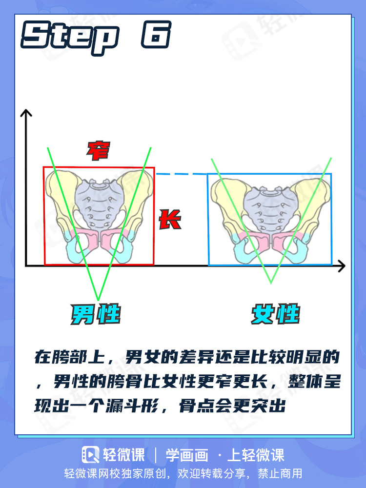看完这个还有人不会画臀部?