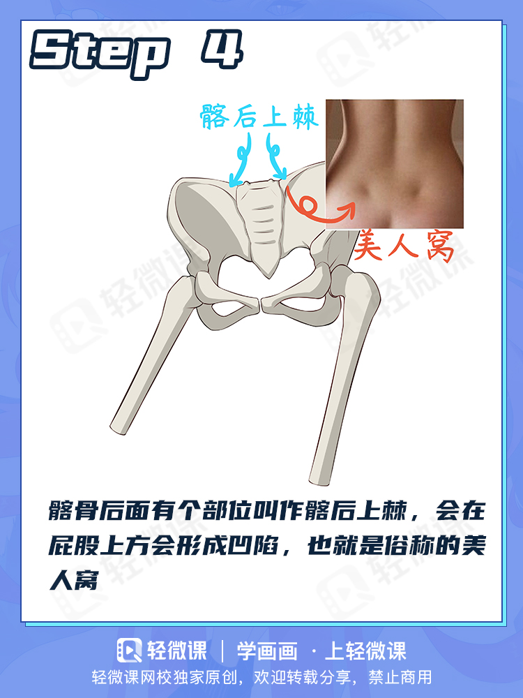 看完这个还有人不会画臀部?