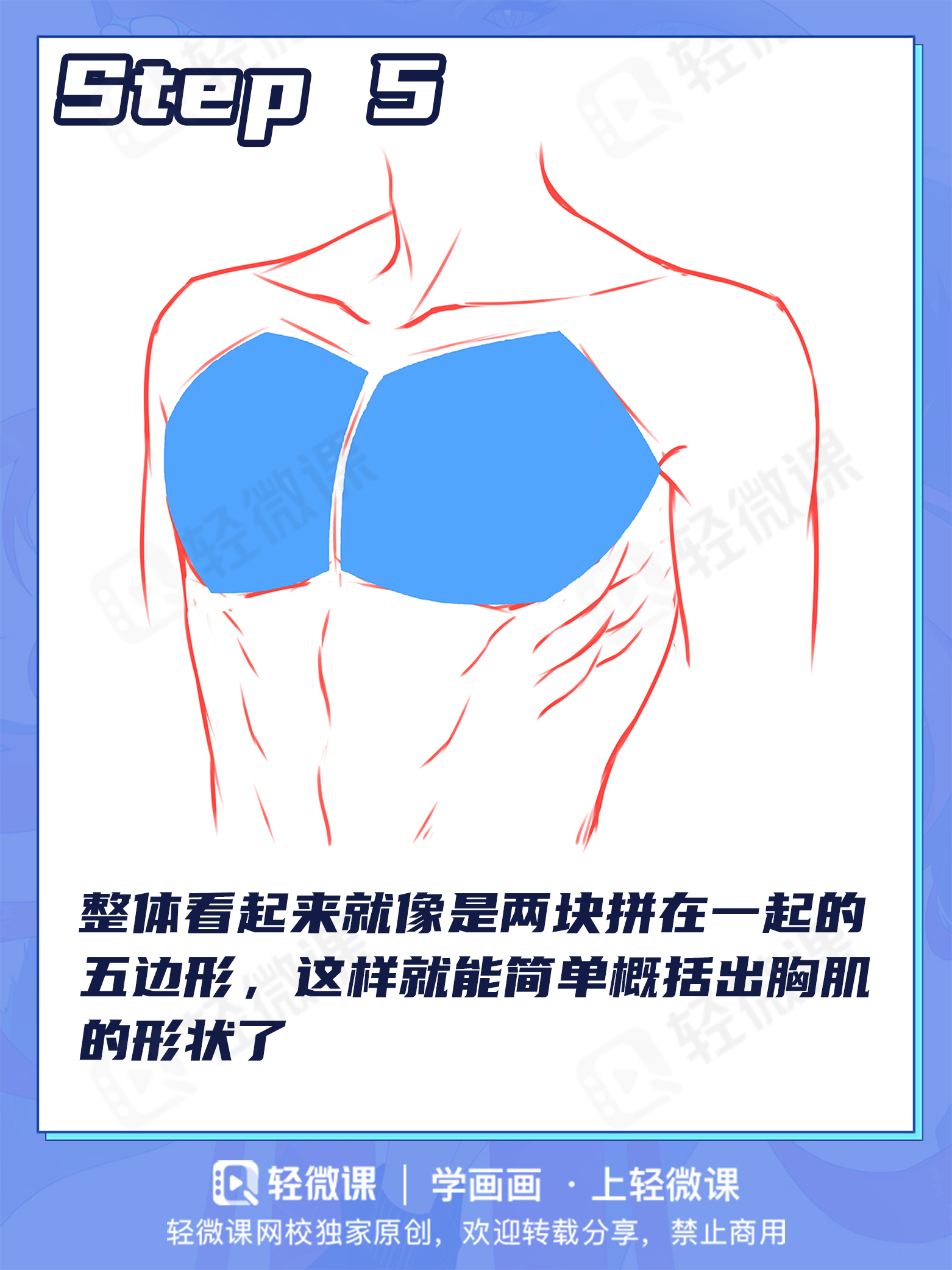 胸肌?欧派?男女胸部差异该怎么画?