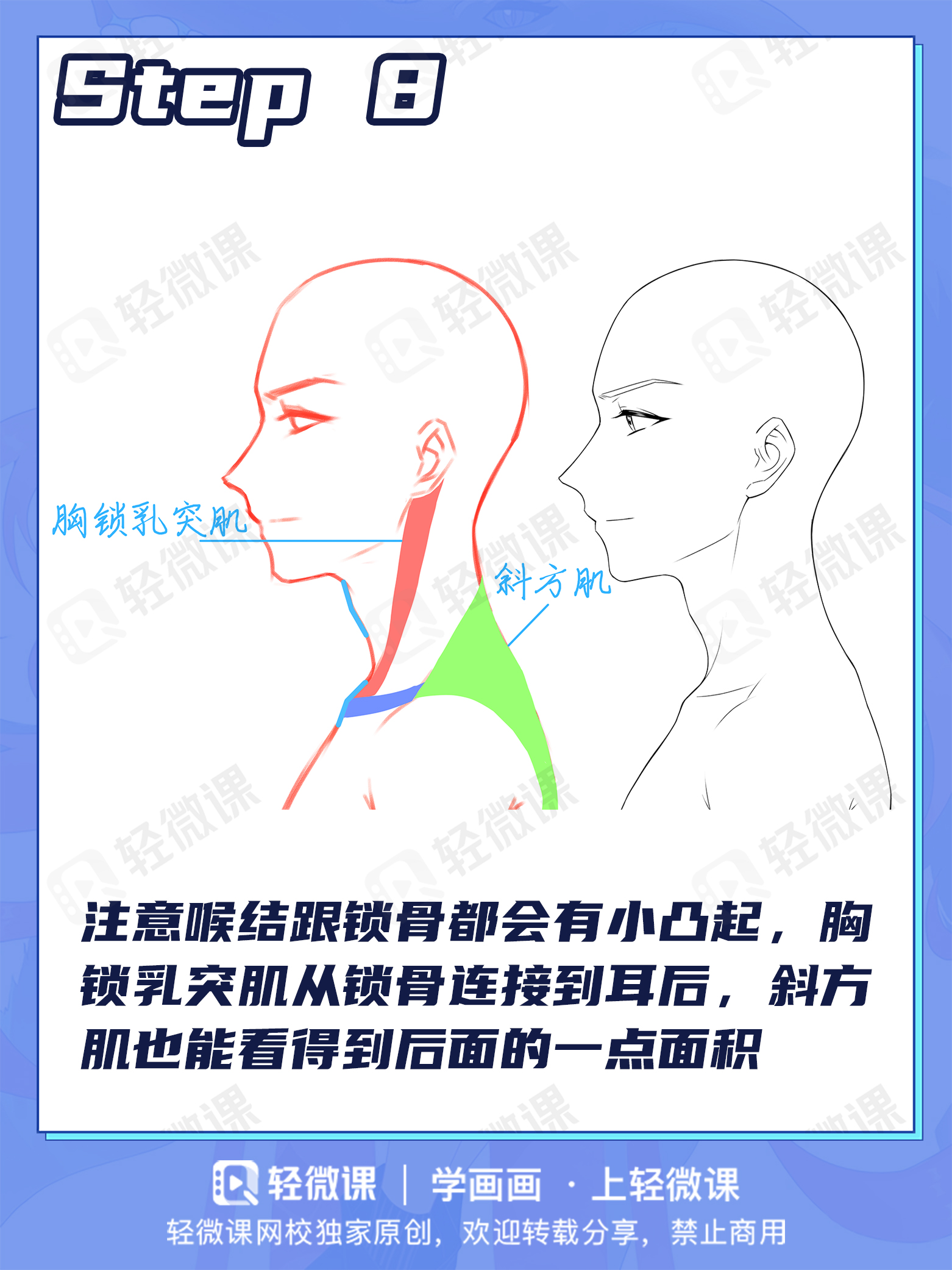 99%萌新都画错的头颈肩关系!
