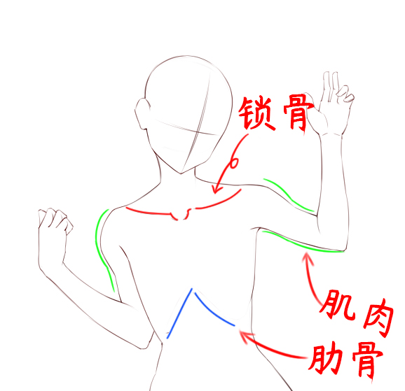 人体还能这样画?画渣这个方法练人体,贼有用!!!