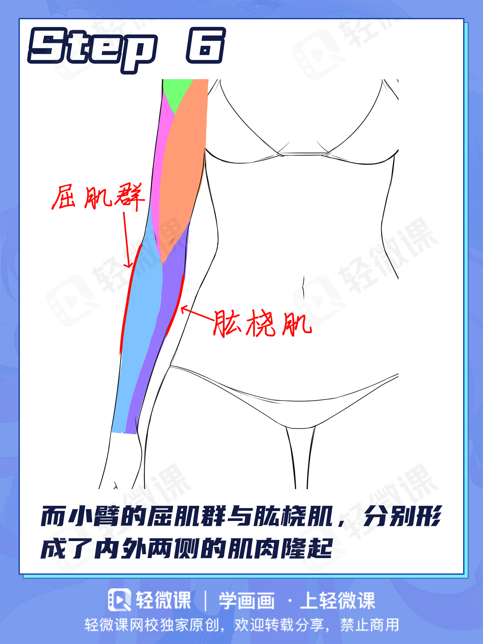 手臂画多长?结构怎么画?2分钟搞定手臂画法