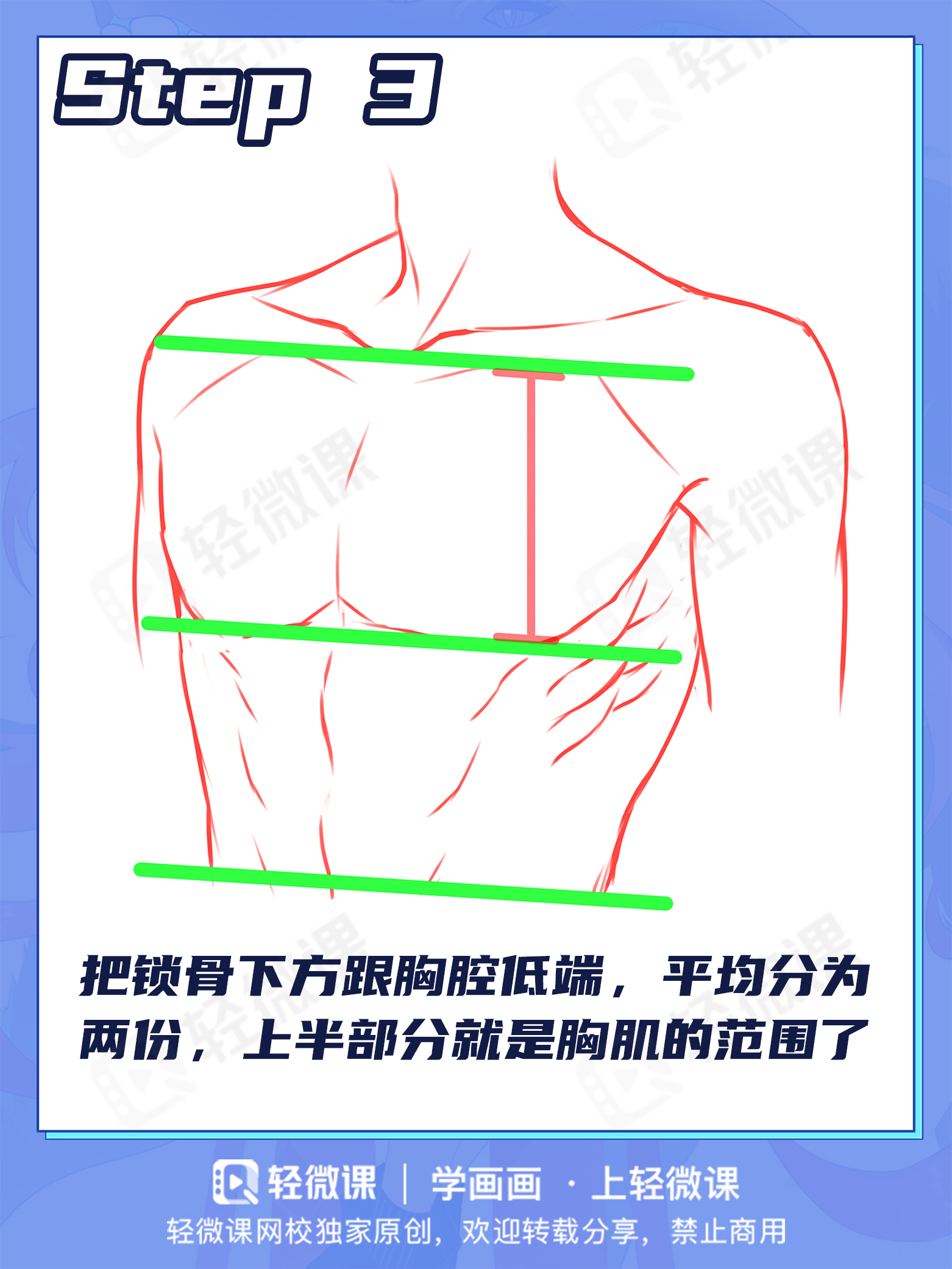胸肌?欧派?男女胸部差异该怎么画?