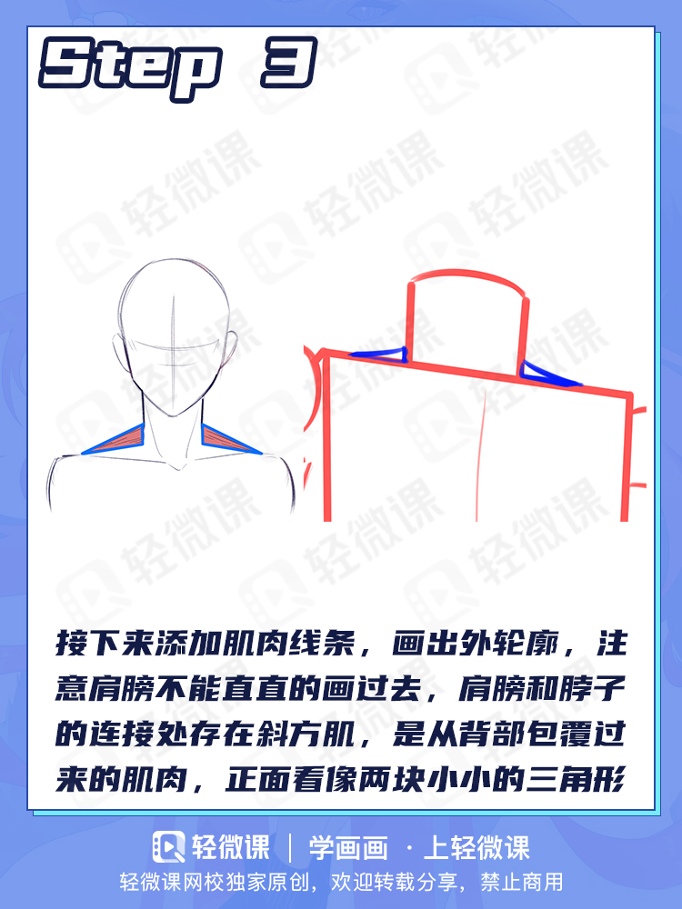 人体到底咋画啊啊!教你0基础也能学会的人体万能公式!