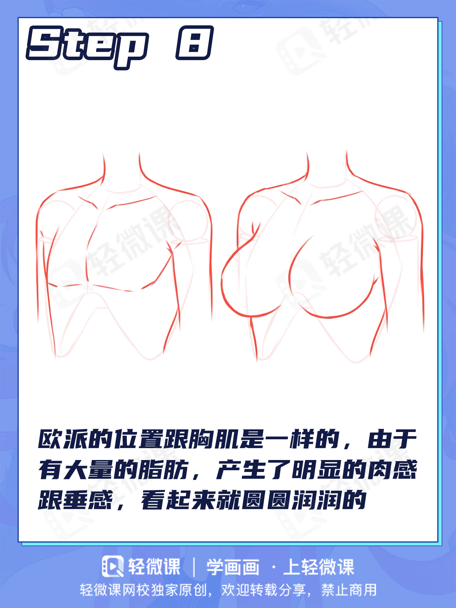 胸肌?欧派?男女胸部差异该怎么画?