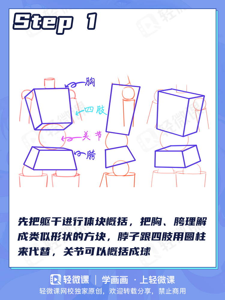 怎么画女生身体躯干?动漫角色身体结构多角度画法