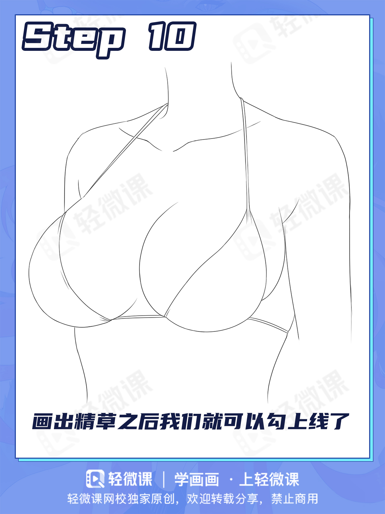 胸肌?欧派?男女胸部差异该怎么画?