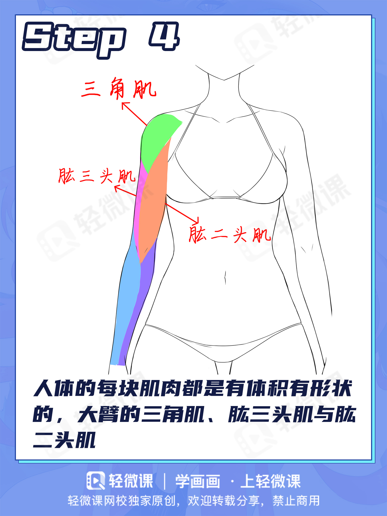 手臂画多长?结构怎么画?2分钟搞定手臂画法