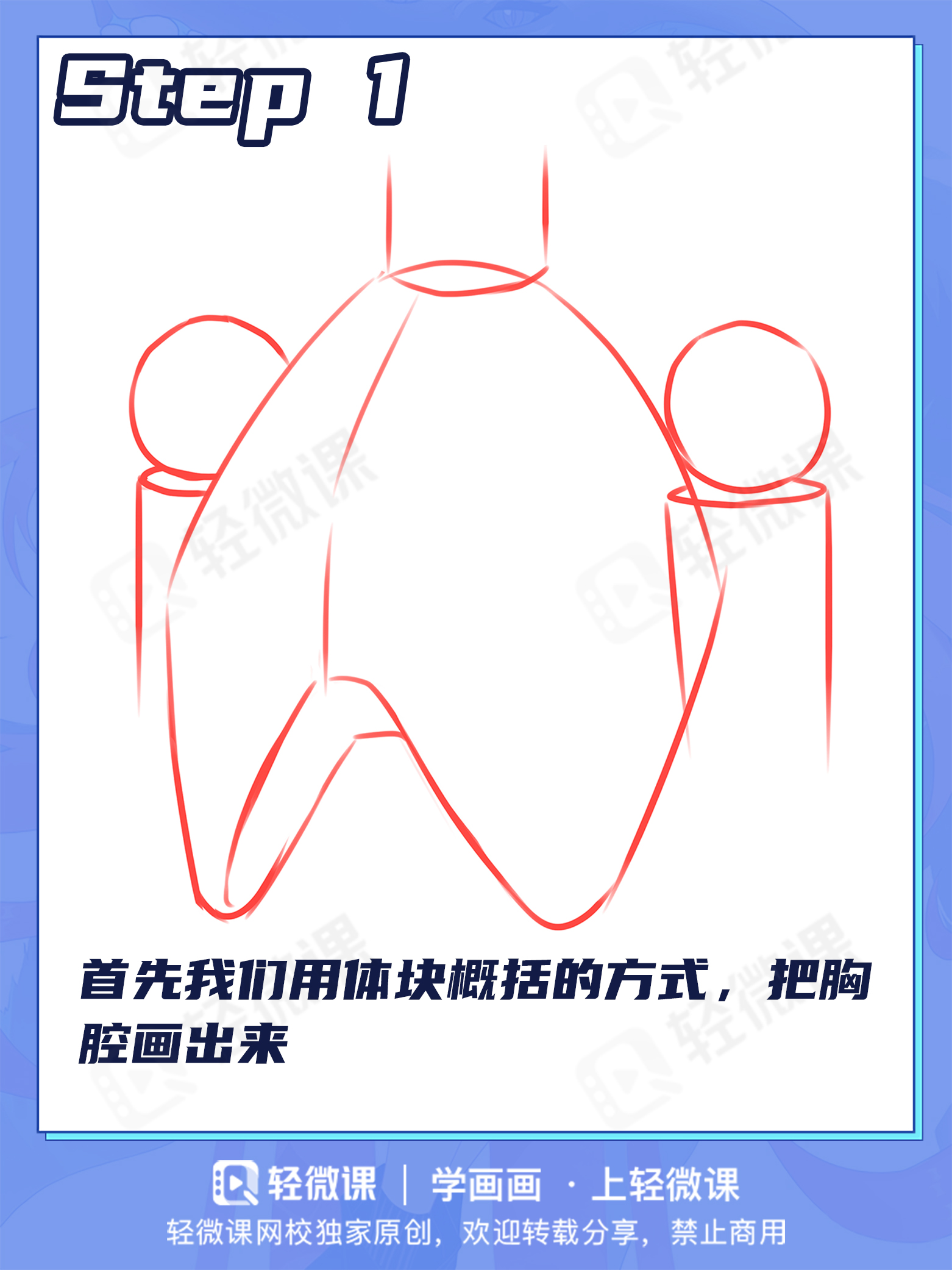 胸肌?欧派?男女胸部差异该怎么画?