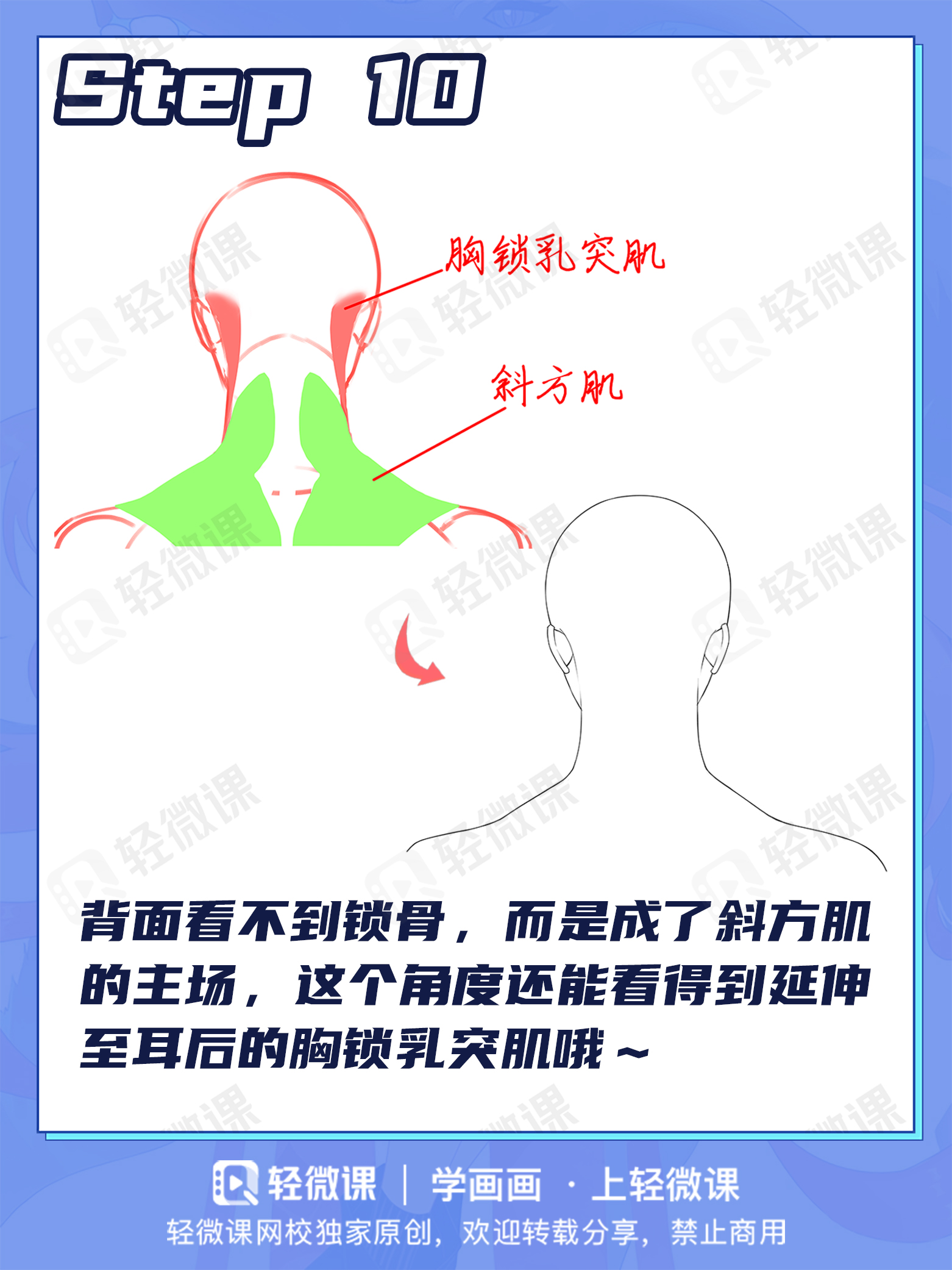 99%萌新都画错的头颈肩关系!