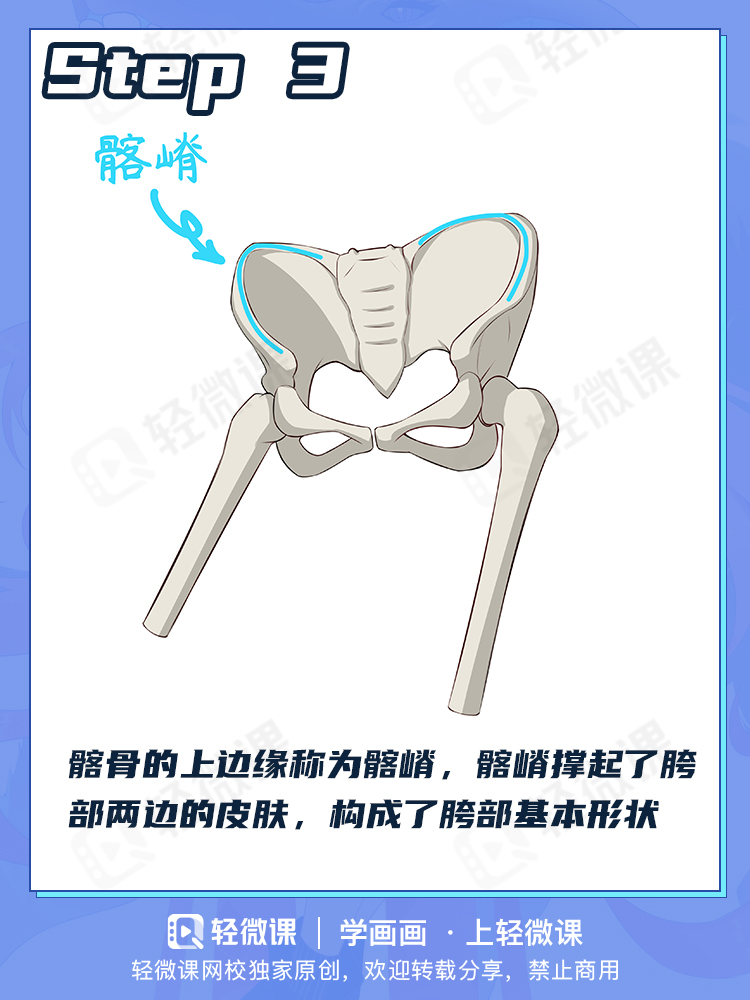 看完这个还有人不会画臀部?