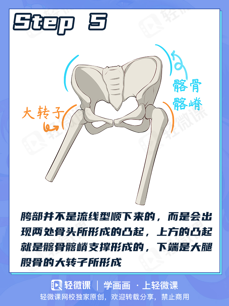 看完这个还有人不会画臀部?