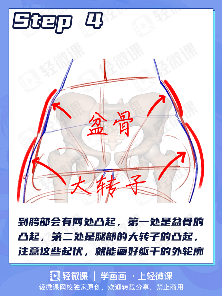 你是不是不会画人体?2分钟掌握人体躯干画法!
