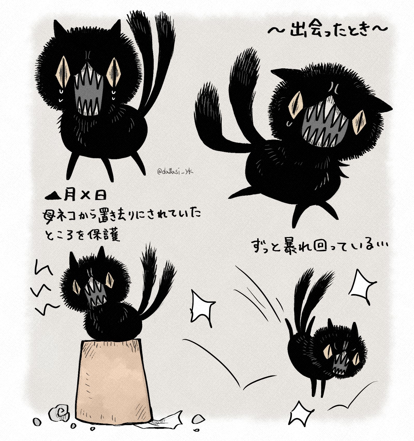 野猫BeforeAfter插画图片壁纸 野猫BeforeAfter插画图片壁纸