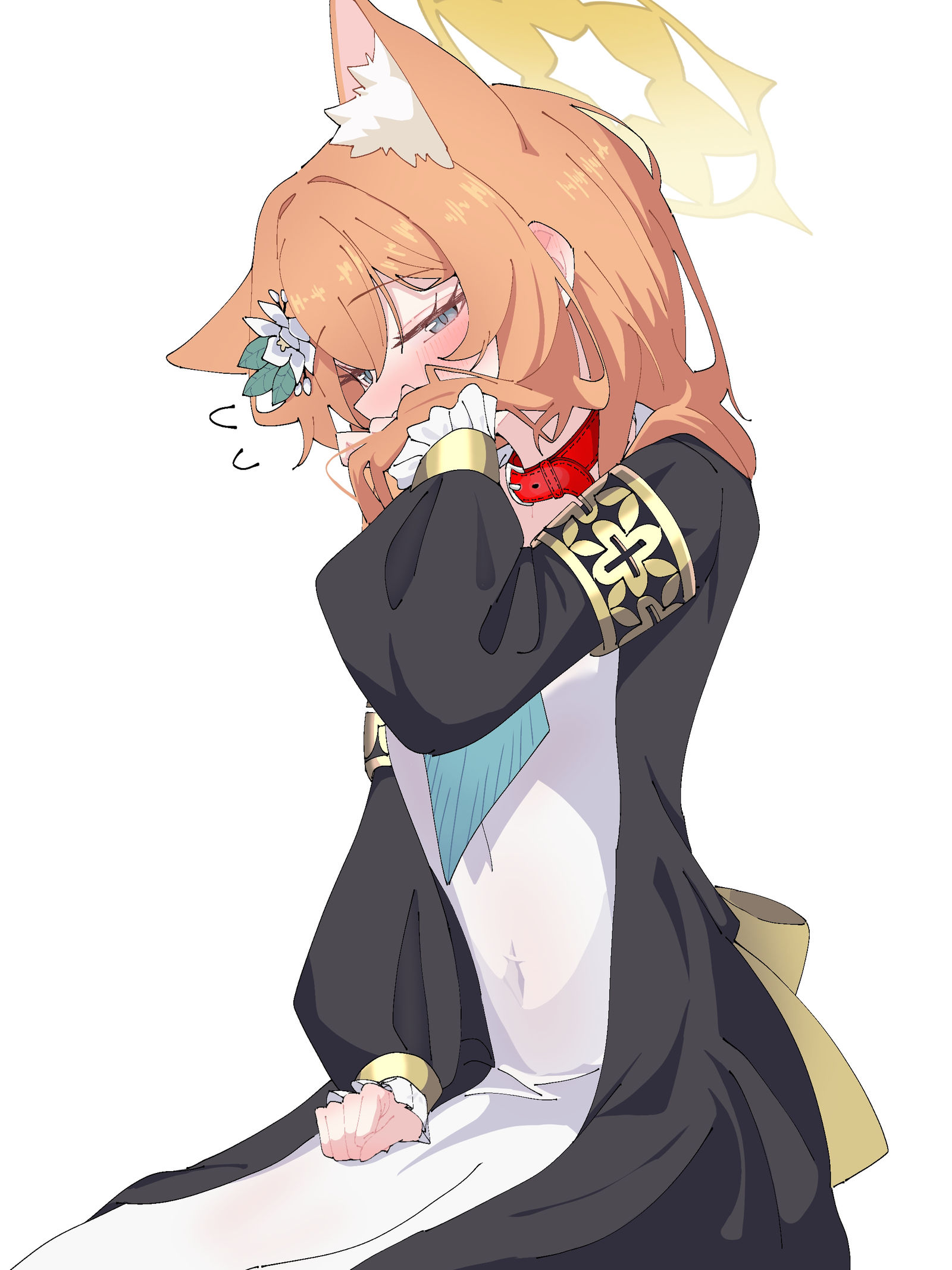 玛丽和项圈 玛丽和项圈