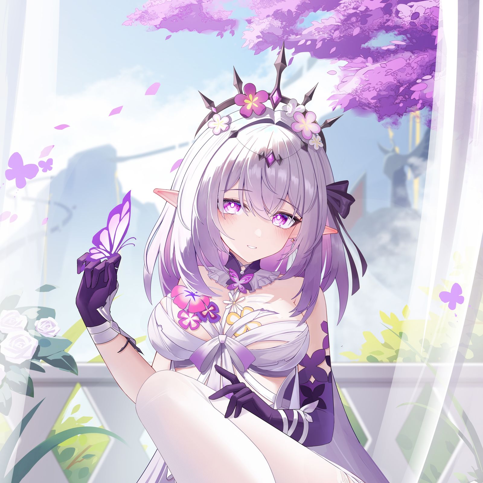 遐蝶插画图片壁纸 遐蝶插画图片壁纸