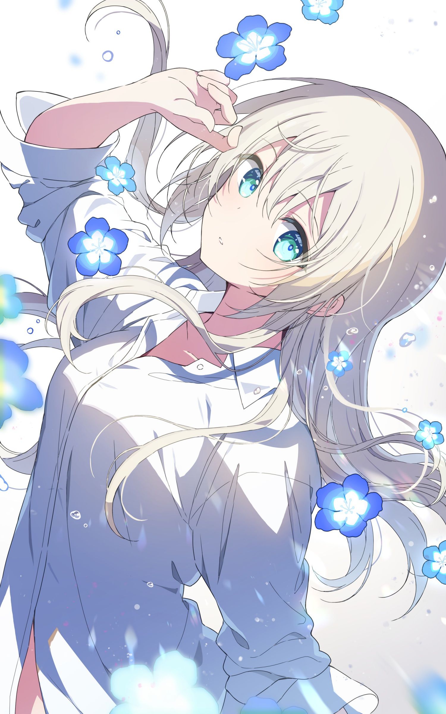 ネモフィラ插画图片壁纸 ネモフィラ插画图片壁纸