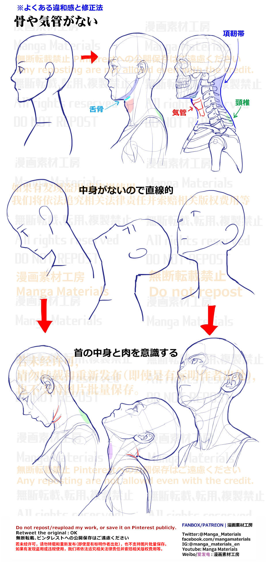 個人メモ:首の構造 / 骨と気管插画图片壁纸 個人メモ:首の構造 / 骨と気管插画图片壁纸