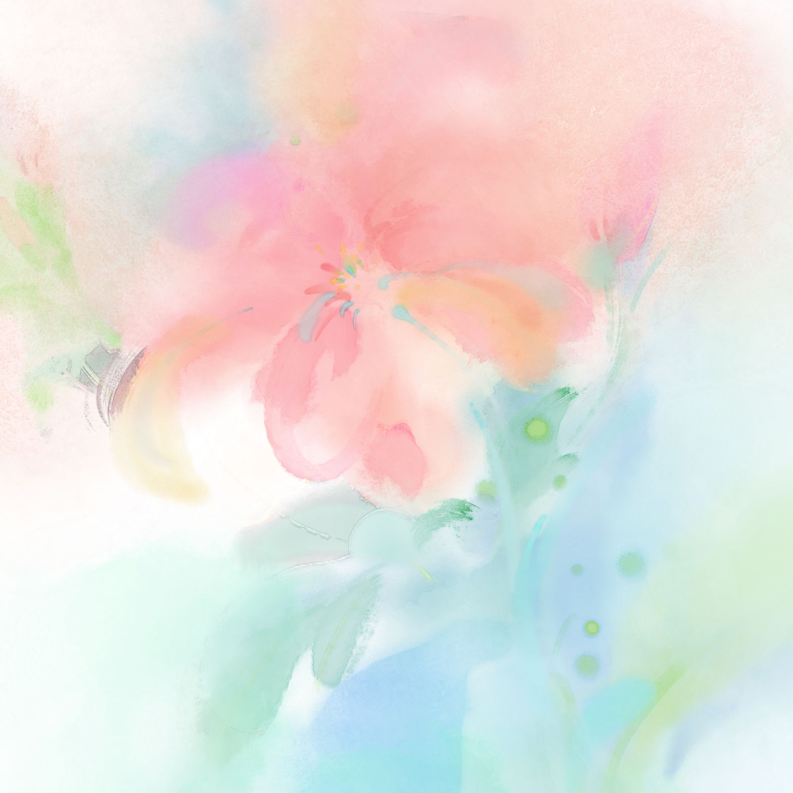 花是主人插画图片壁纸 花是主人插画图片壁纸
