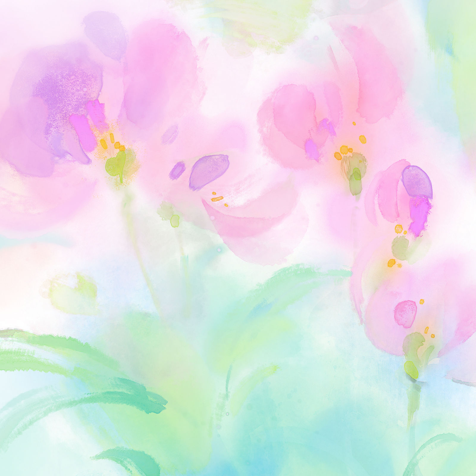 花是主人插画图片壁纸 花是主人插画图片壁纸