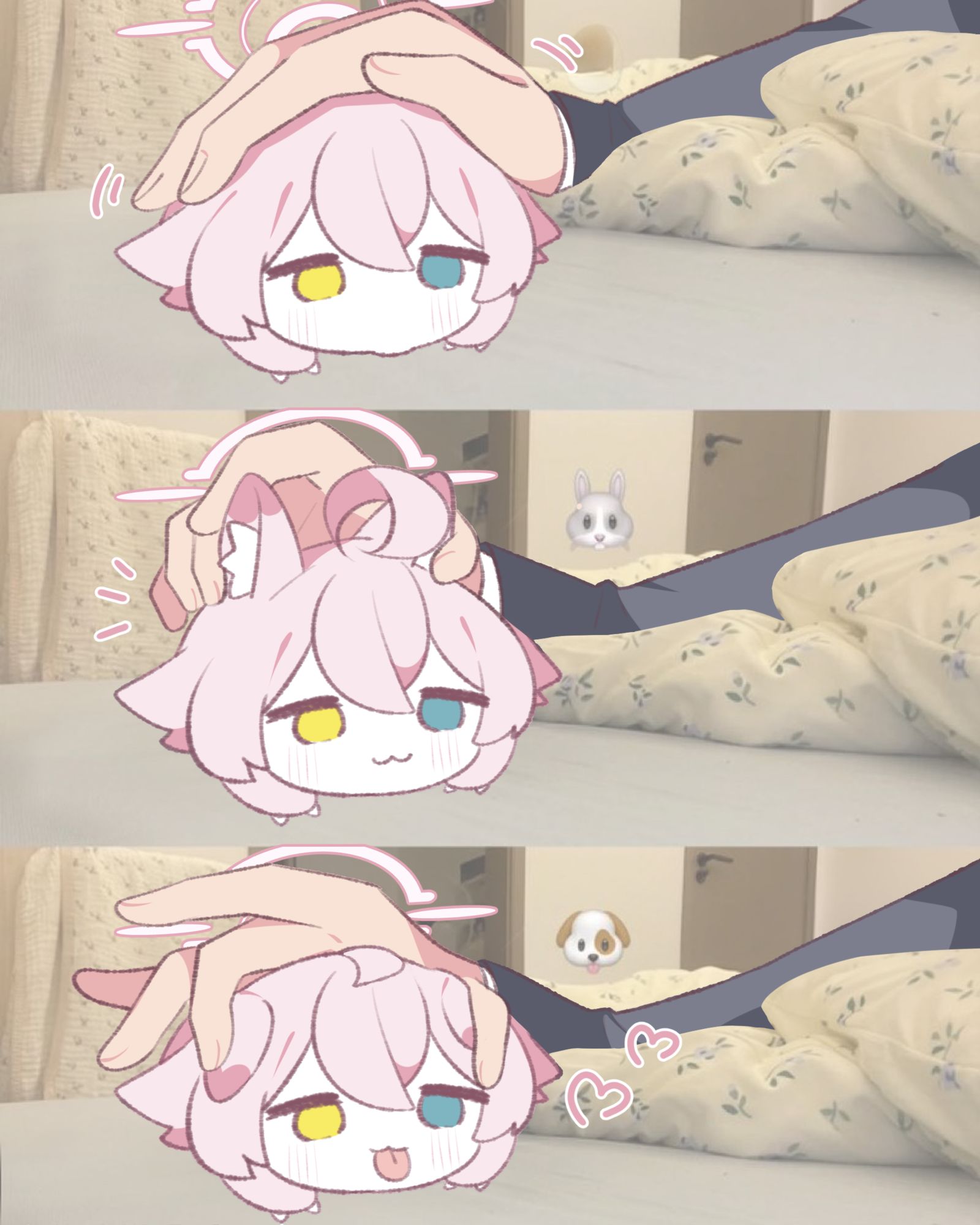 ? ? どっちかな?~ ? ? どっちかな?~