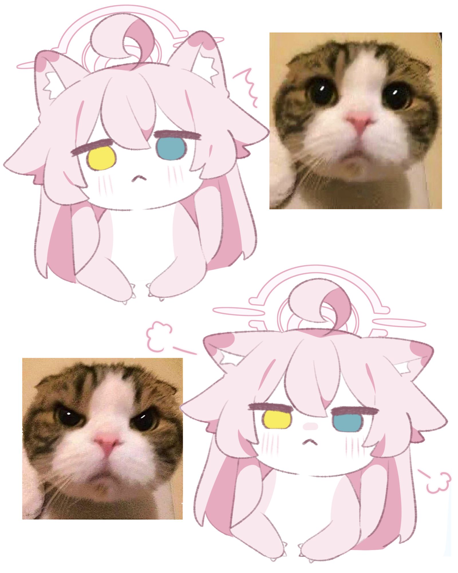 さまざまな感情表現 ホシノイタチ !!插画图片壁纸 さまざまな感情表現 ホシノイタチ !!插画图片壁纸