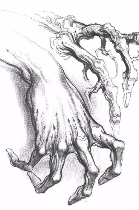 继续来画手一组手部素描素材
