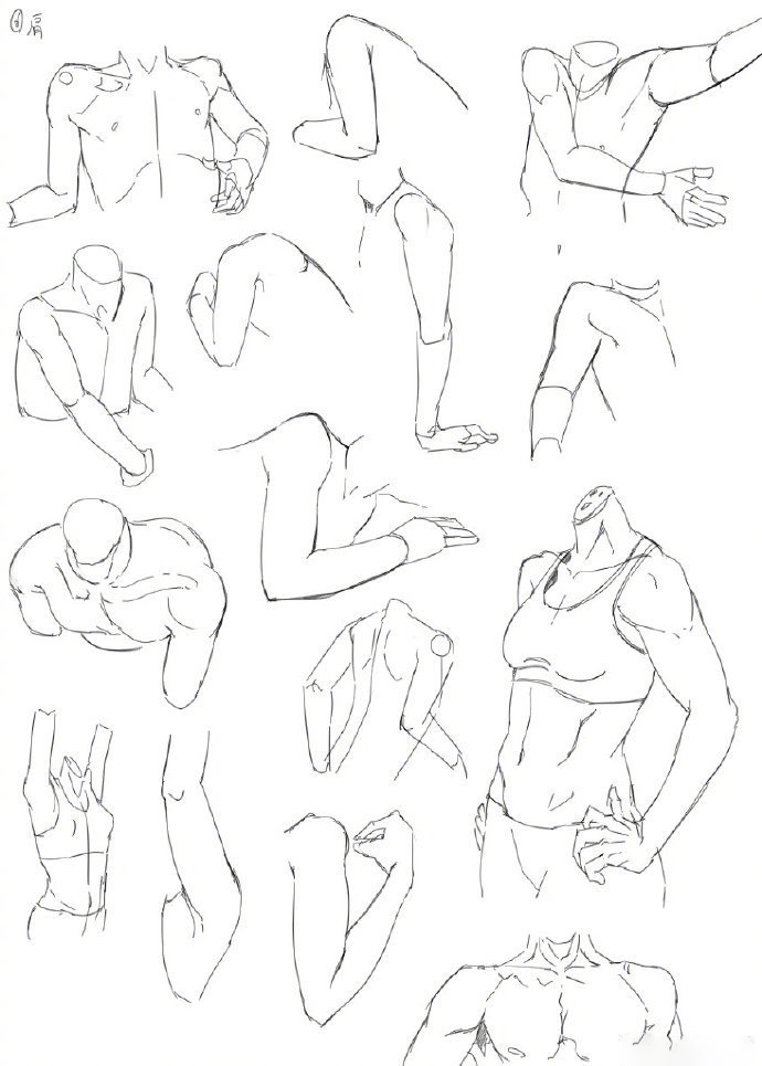 超多手臂绘画练习素材各种姿势都有哟学画画