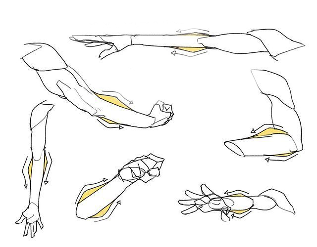 人体上肢手臂结构学画画画师75