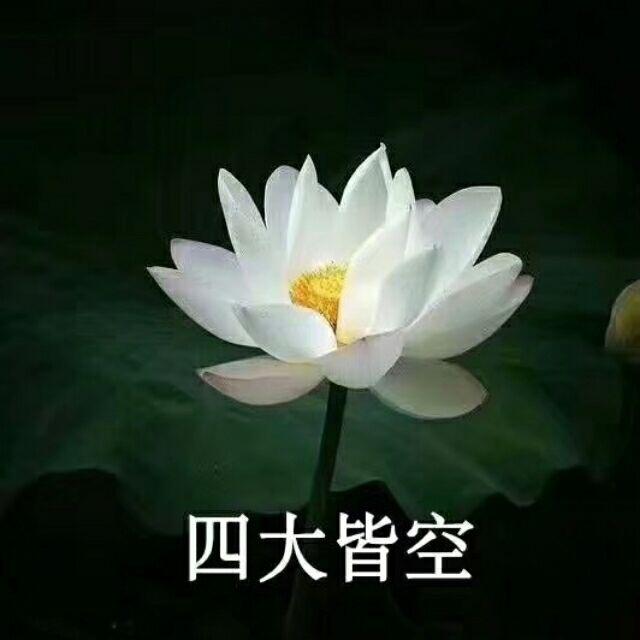 追忆随风